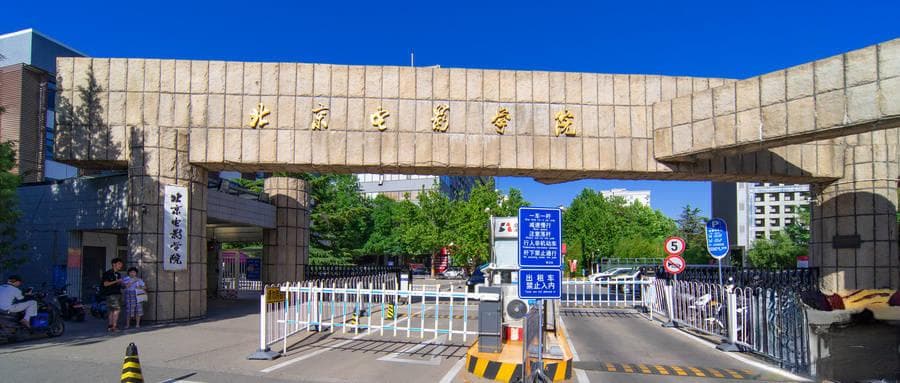 2024年全国艺术类和体育类院校排名及录取分数线（前50强）