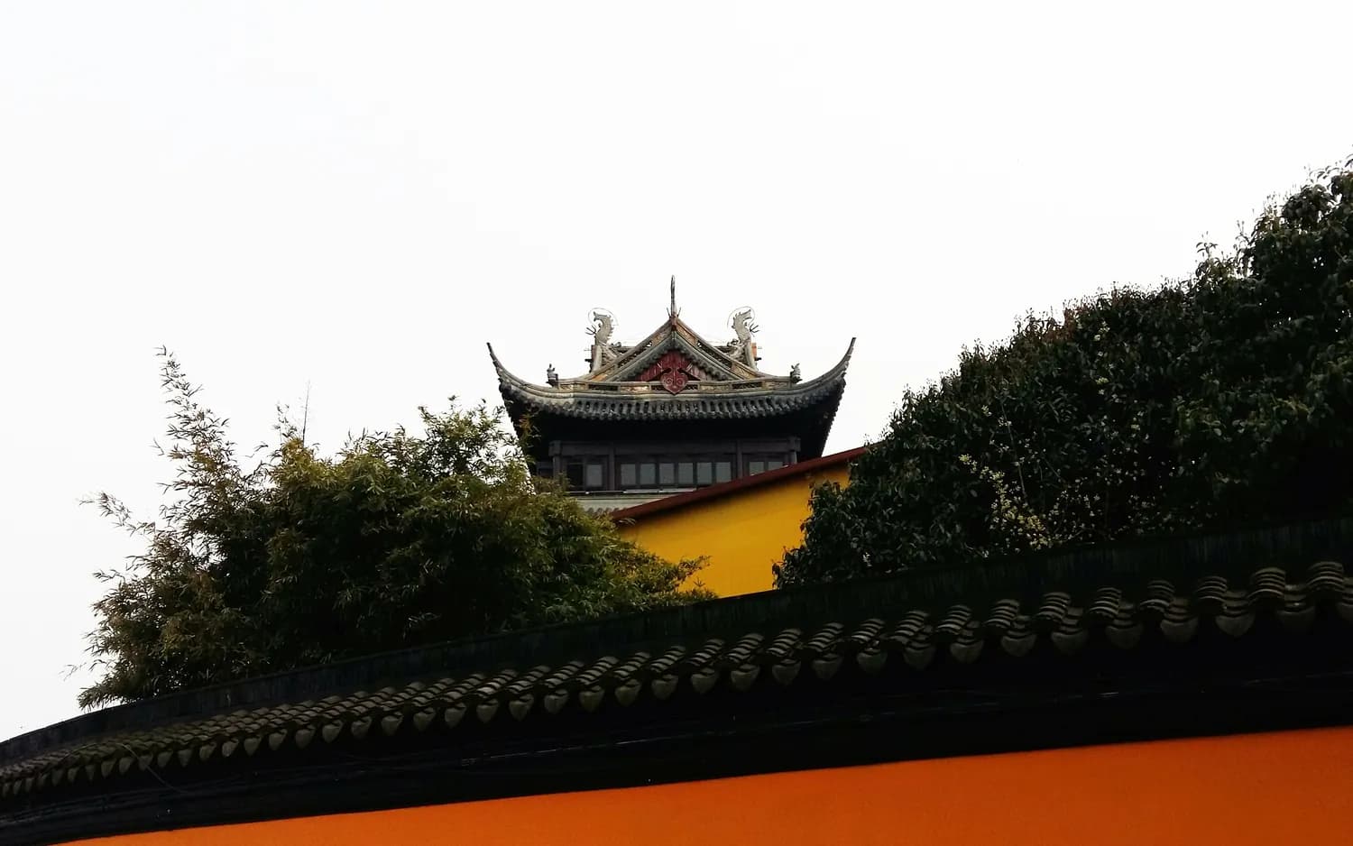 苏州三天两夜游，打卡七里山塘和拙政园！