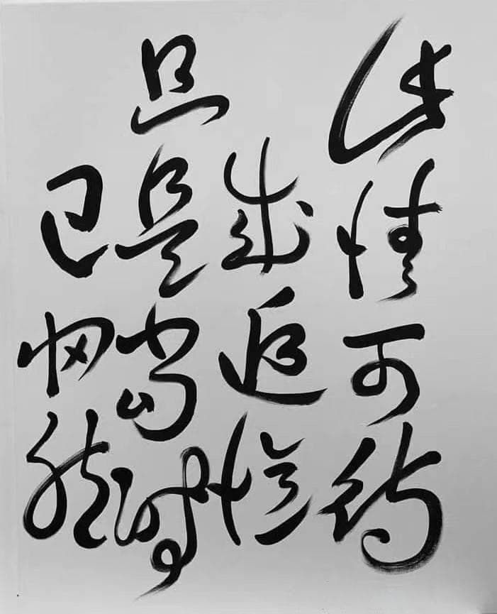 陈持平：唐人严恽 杜牧和宋人欧阳修 杨万里 王安石的《落花》