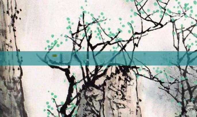 厨房水管爆裂紧急处理指南，预防与应对措施