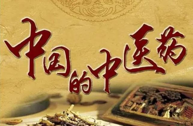 从甲骨文到《本草纲目》：中医数千年传承与创新