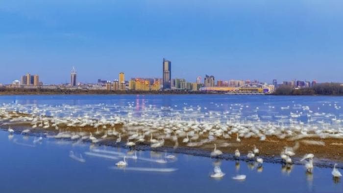 黄河岸边崛起一座产业新城——河南三门峡向“新”突围记