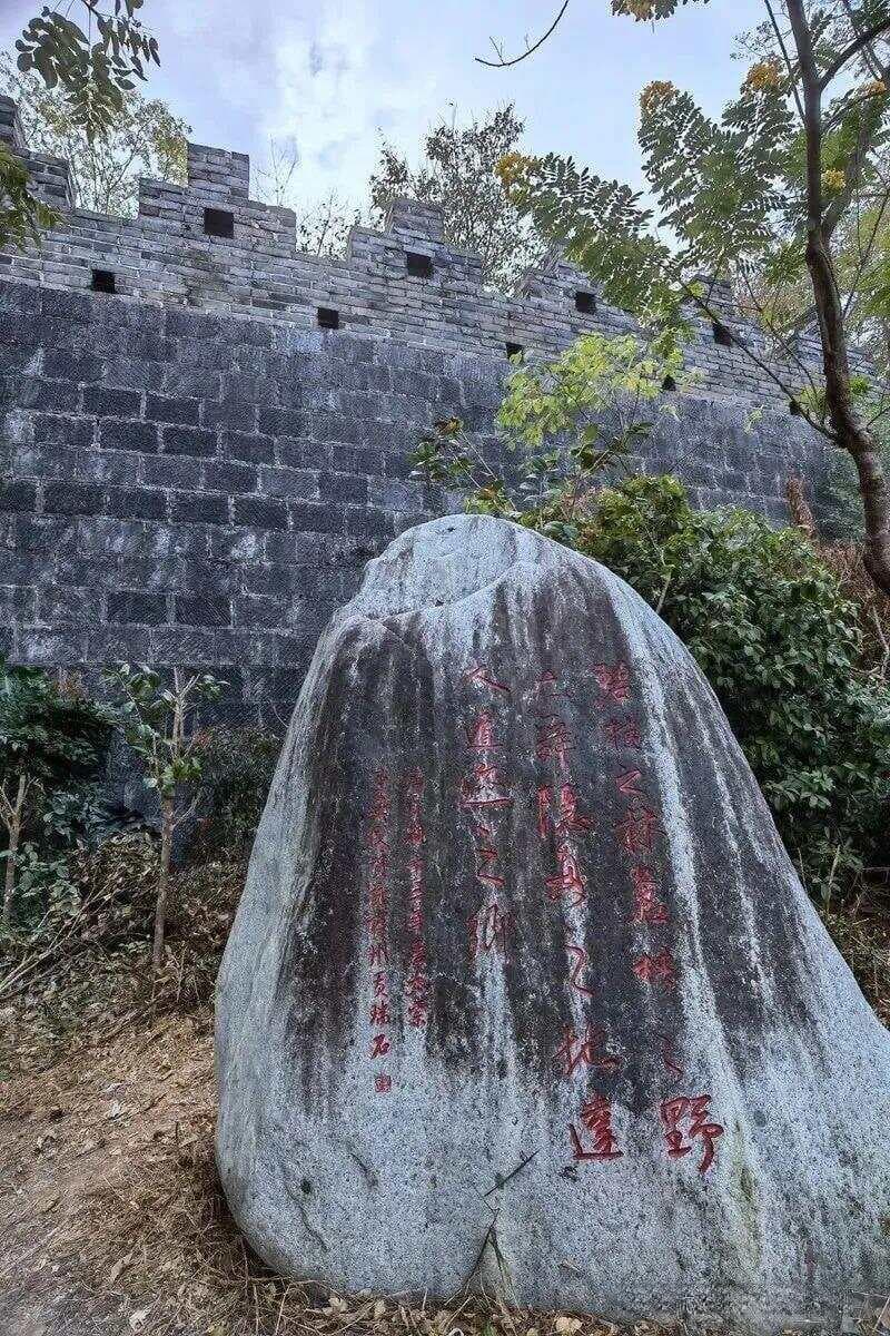 苦是生命的本质，是生活的常态