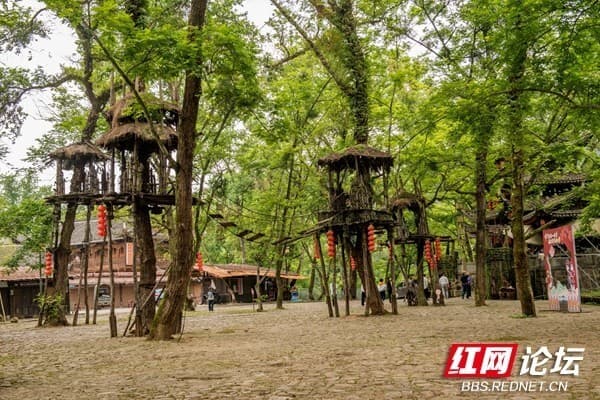 探秘湘西惹巴拉古寨：三山三河三寨间的土家风情