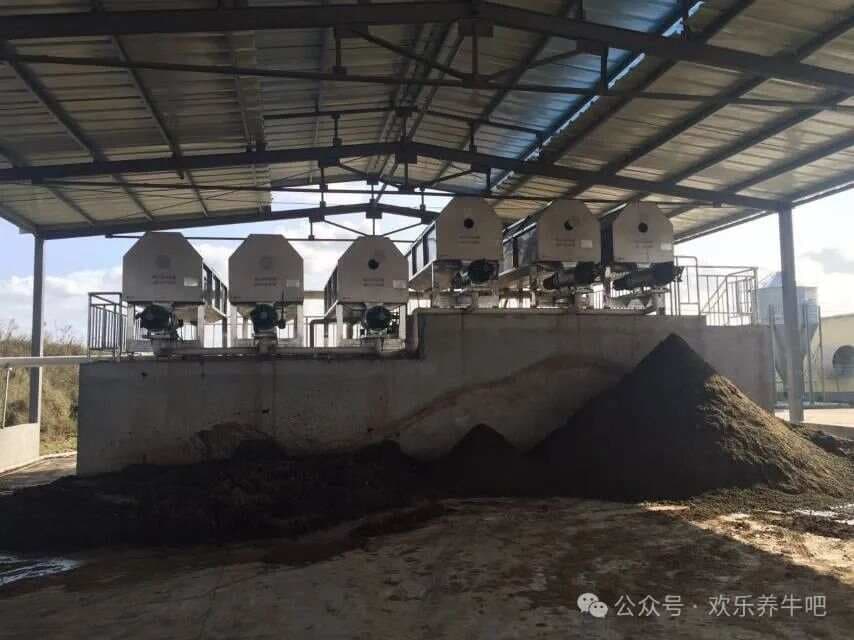 奶牛粪污处理技术：绿色养殖