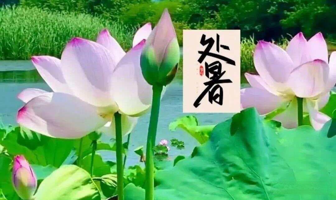 五首处暑诗词，唯美又惊艳，拥抱清凉的秋天