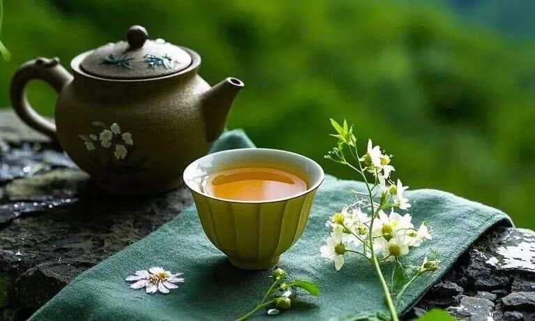 茶中修行：一片叶子的浮沉启示