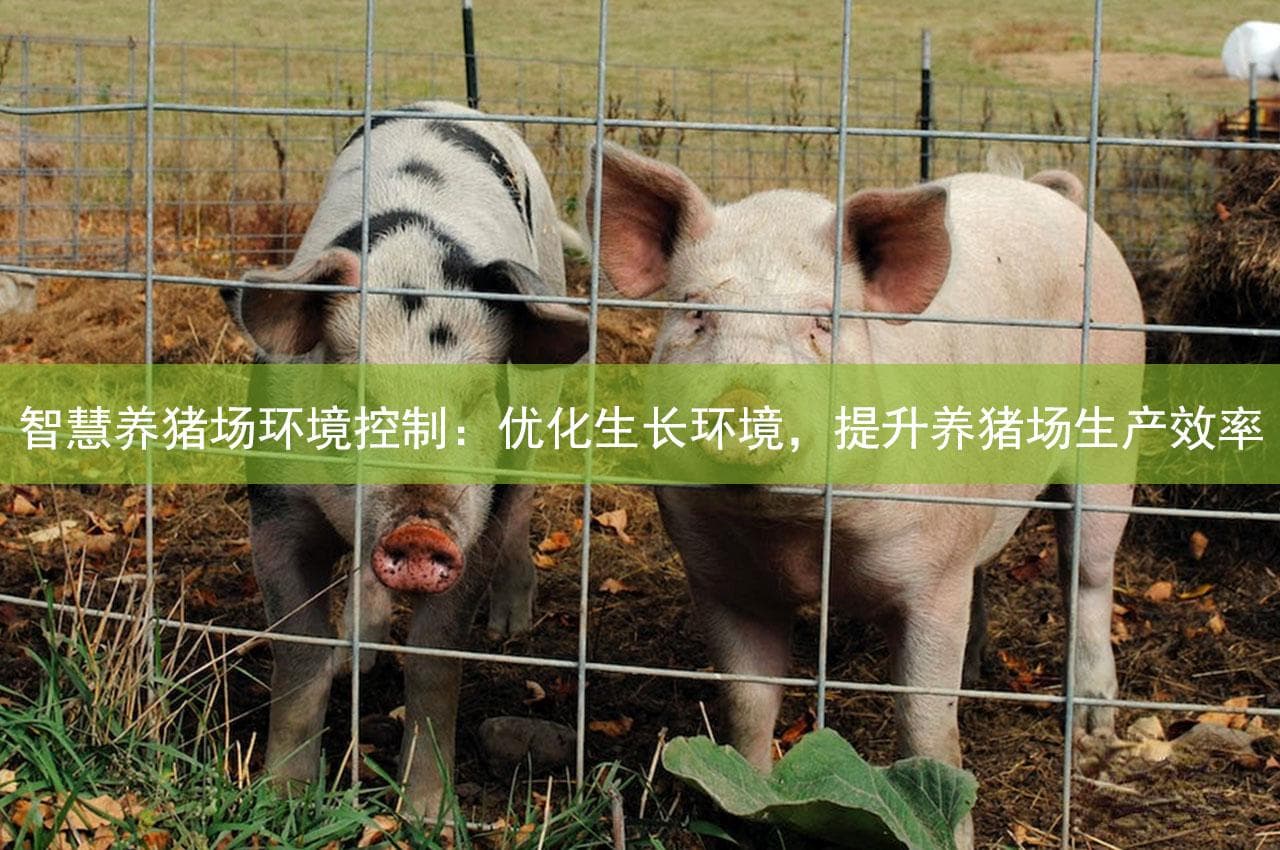 智慧养猪场环境控制：优化生长环境，提升养猪场生产效率