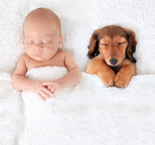 幼犬维生素A中毒症状及处理方法