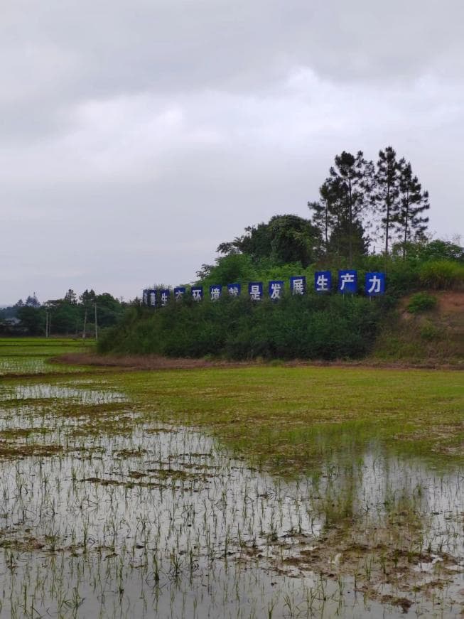 变废地为新绿 生态修复换来“金山银山”