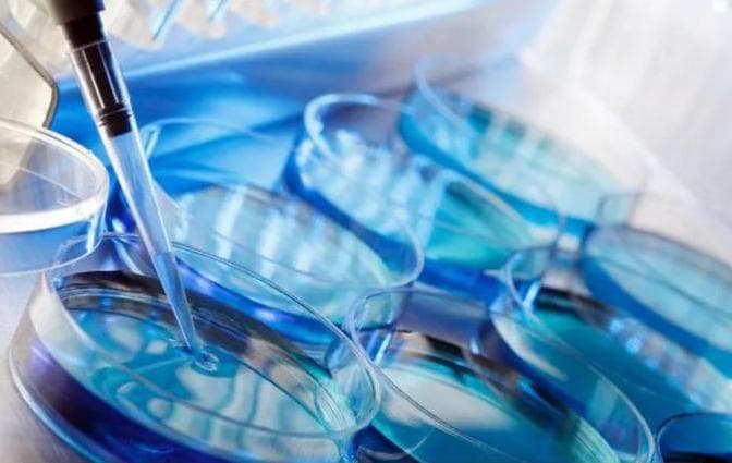 母婴科普：山羊奶和绵羊奶哪个好？怎么选最合适宝宝健康？