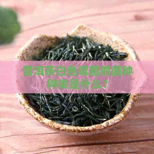 普洱茶白色霉菌的菌种种类是什么？