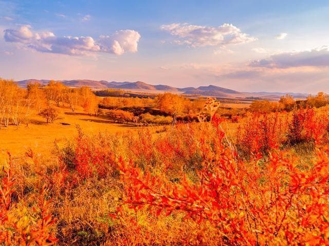 秋天游玩去营口南山，探秘山间的秋日风光与人文历史吗？