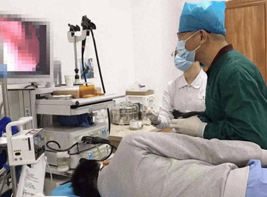 得了胰腺炎一口酒都不能喝？警告：不想胰腺癌变，3个错误不要犯