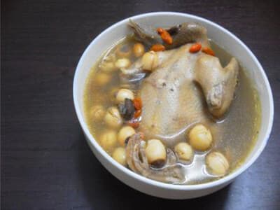 鸽子肉的营养价值与功效：从滋补养生到食疗保健