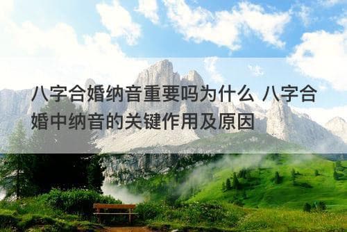 八字合婚纳音重要吗为什么 八字合婚中纳音的关键作用及原因