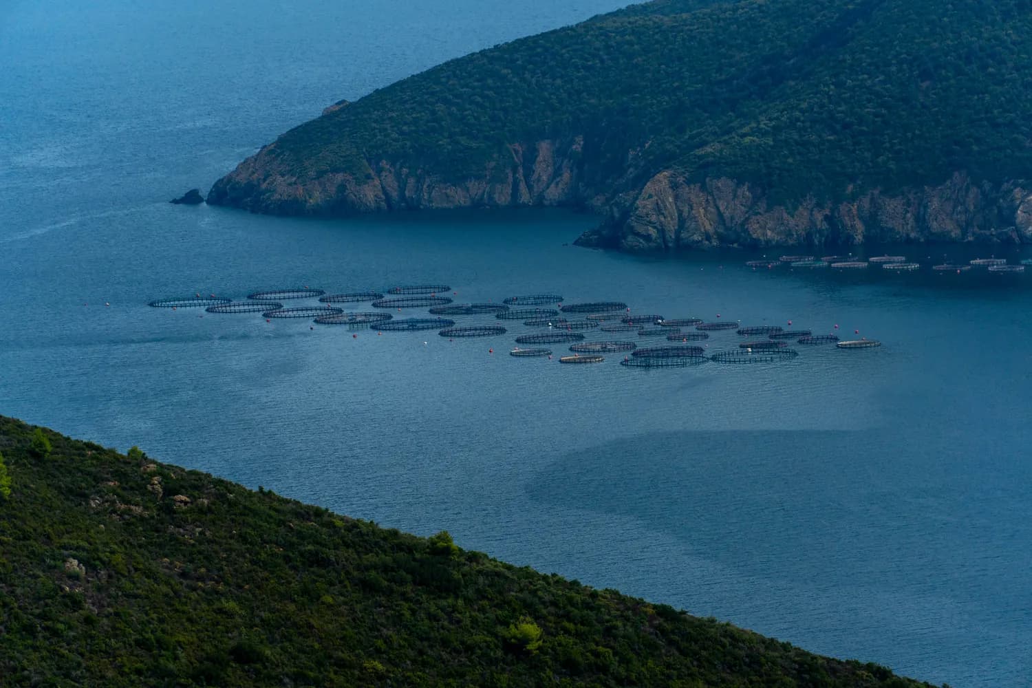 三都岛：福建最大海岛的网红打卡攻略