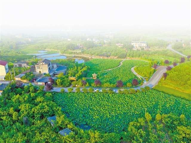 进村上班、上镇“赶集”——大学毕业生的新选择