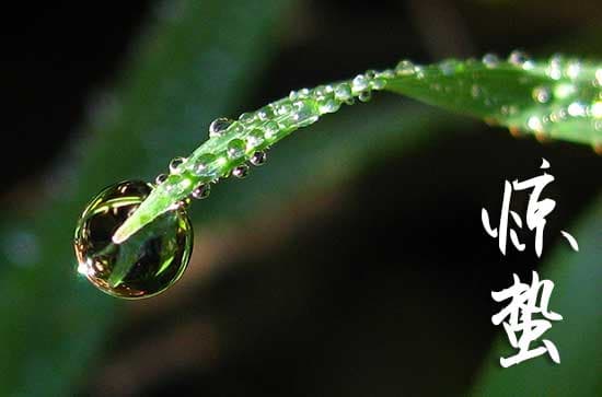 惊蛰节气介绍