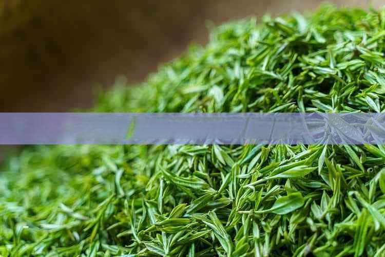 普洱茶搭配红枣泡水的健康益处