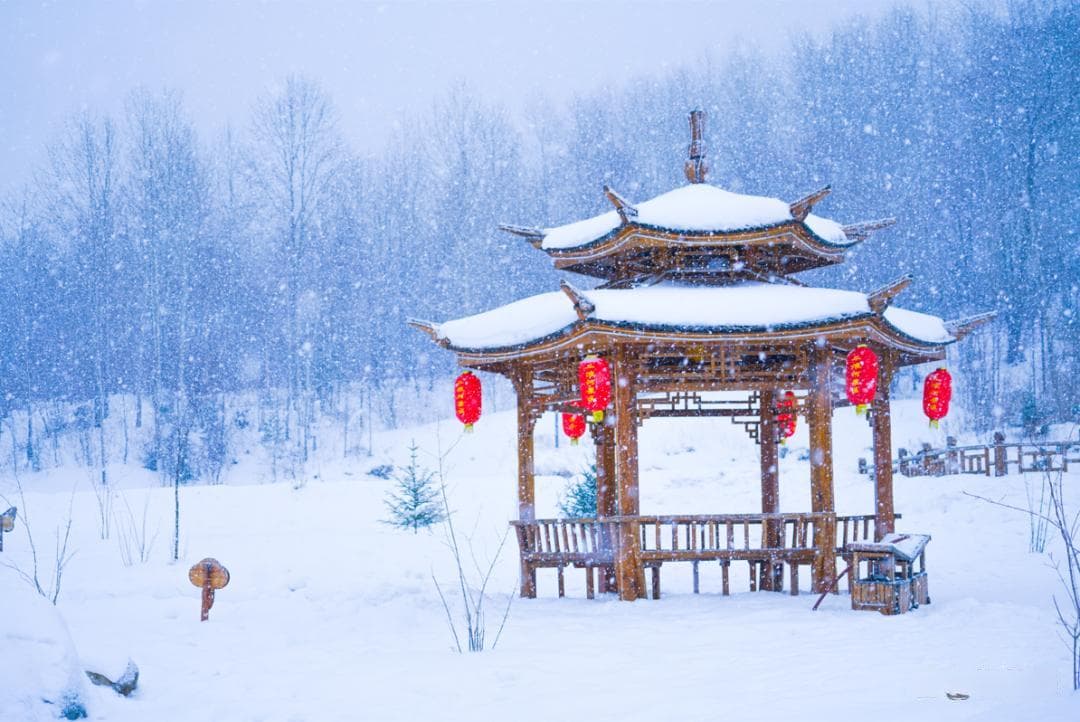 雪天摄影指南：线条、焦点、小景致，三种技巧拍出诗意雪景