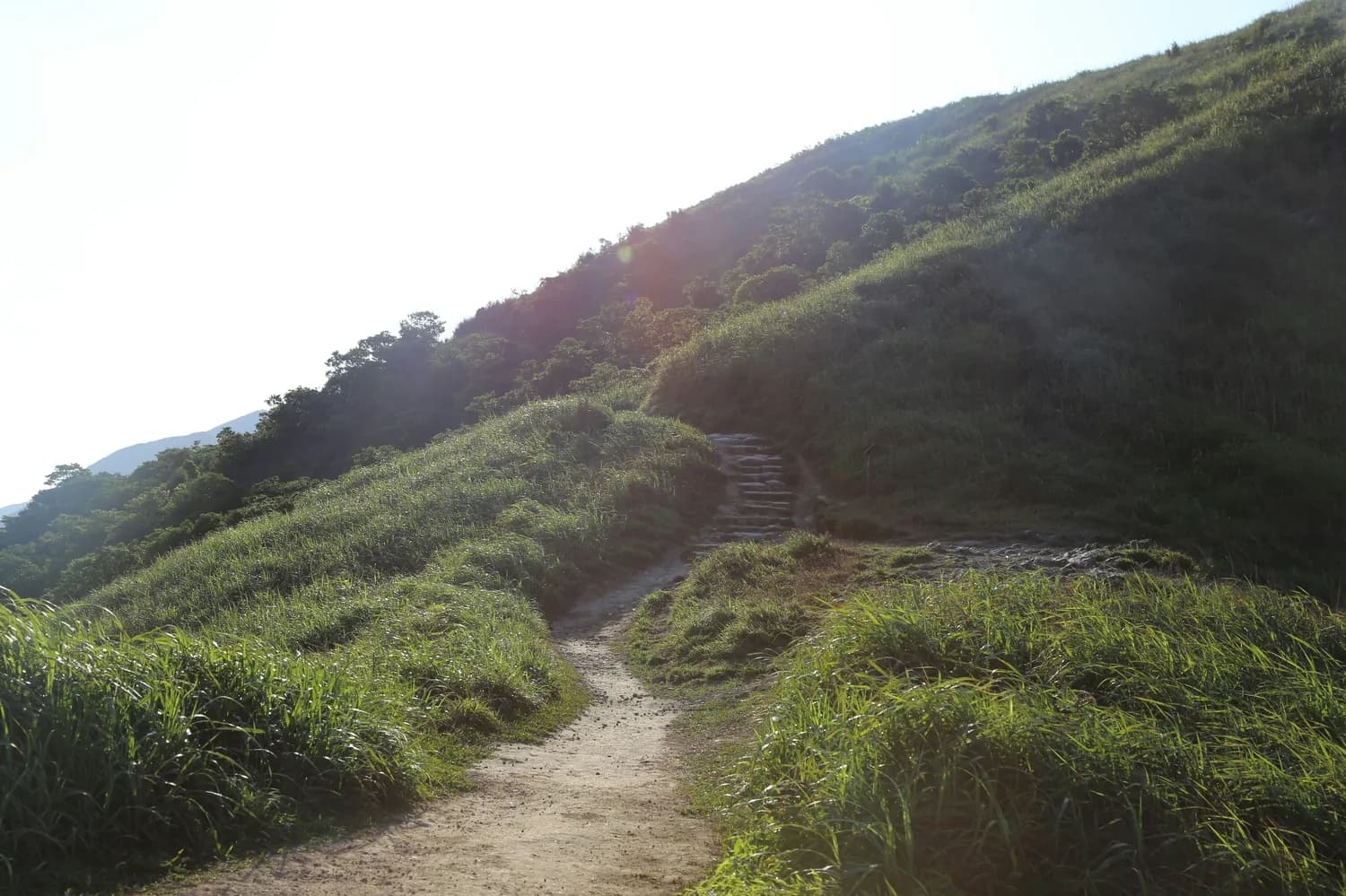 牛草山徒步：风电场新晋打卡点