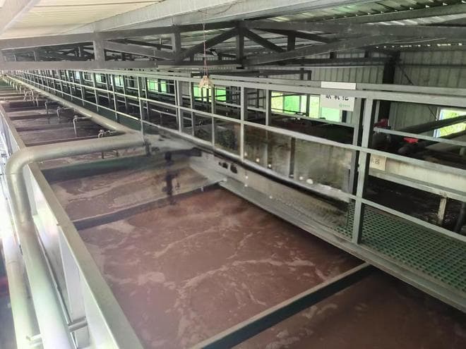 肉类加工废水的处理方法详解：生物法、物理法与化学法的综合应用