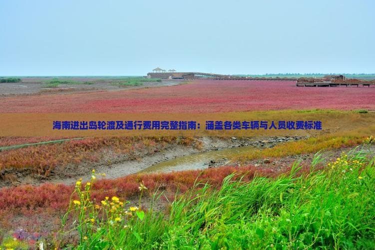 海南进出岛轮渡及通行费用完整指南：涵盖各类车辆与人员收费标准