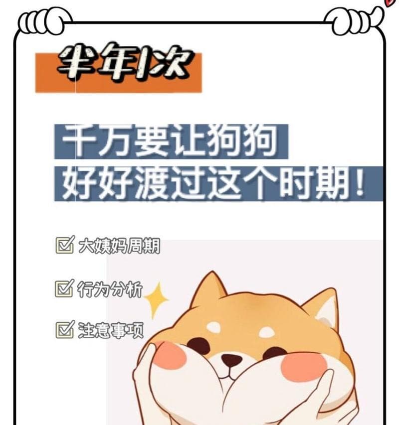 狗狗生理期护理全攻略：从基本知识到具体措施
