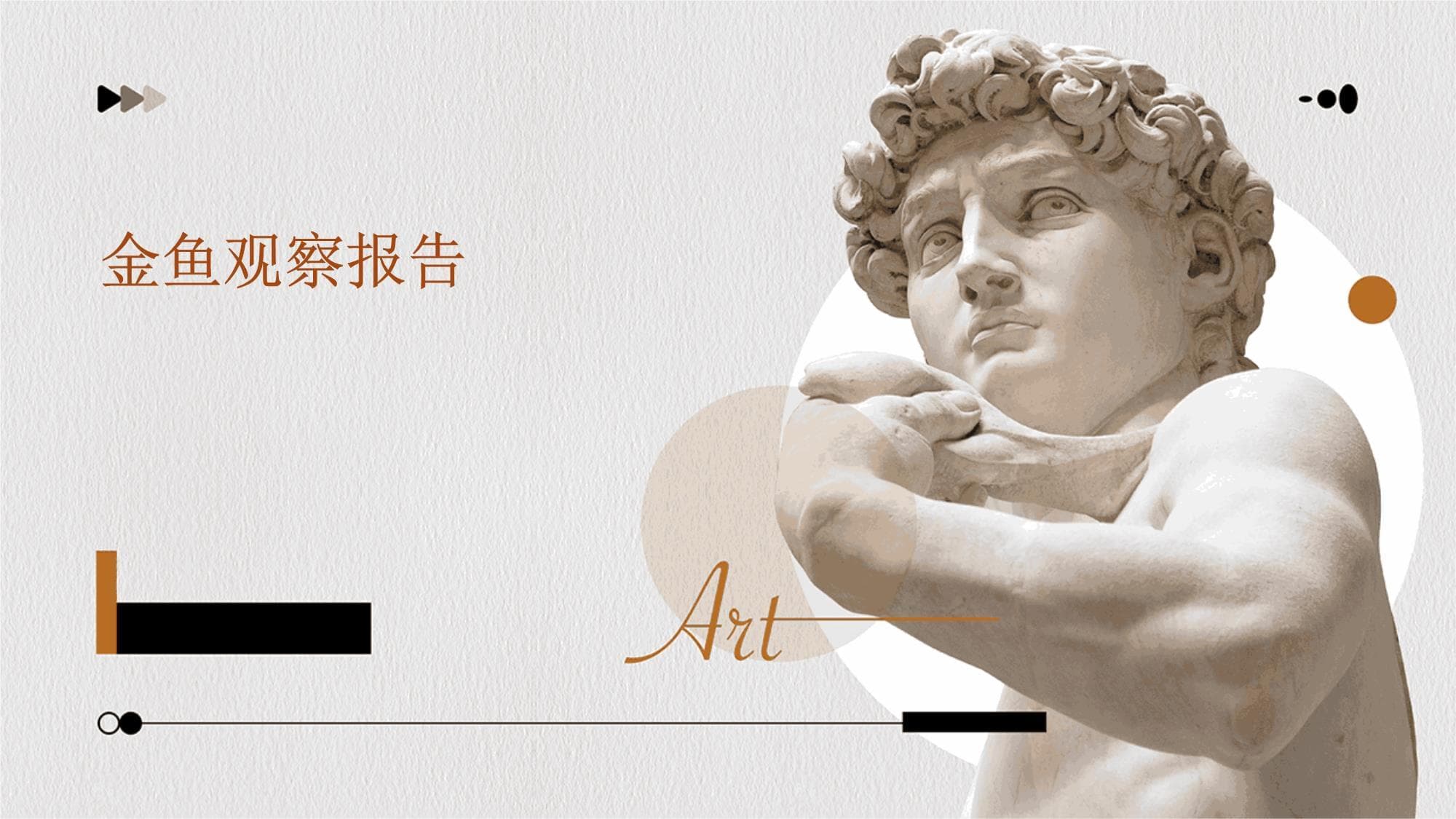 金鱼观察报告