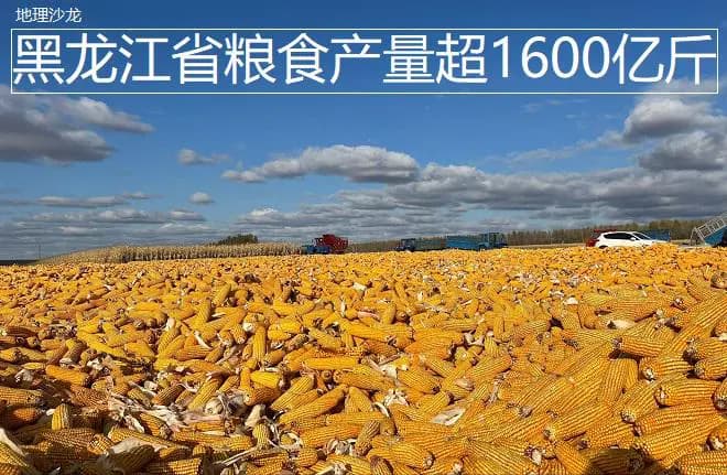 今年黑龙江省粮食产量超1600亿斤，连续十五年位居全国各省区第一