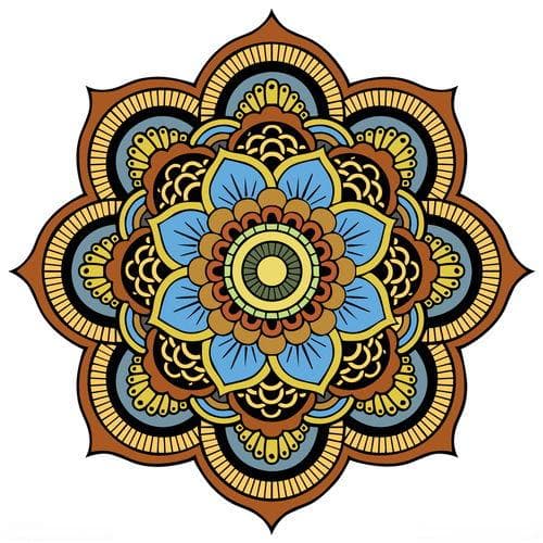 曼陀罗花图片：绽放的神秘之美