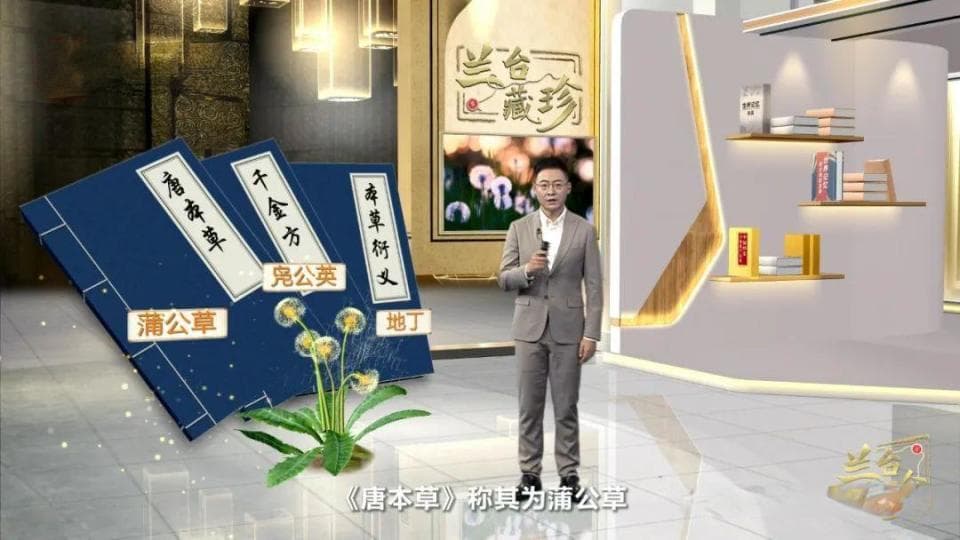 蒲公英为啥叫“蒲公英”？来《中药大辞典》原稿中找答案吧