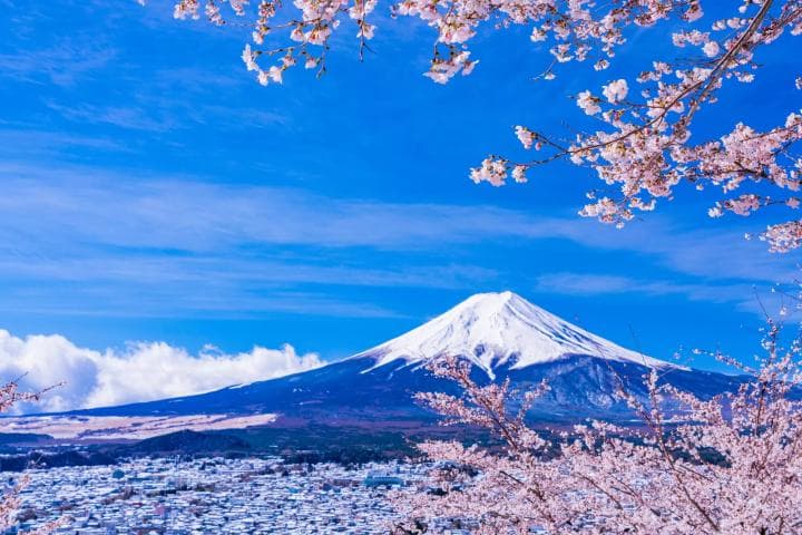 [2025] 介绍富士山周边的著名赏樱景点！