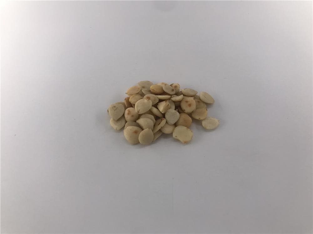 苦杏仁的功效与作用