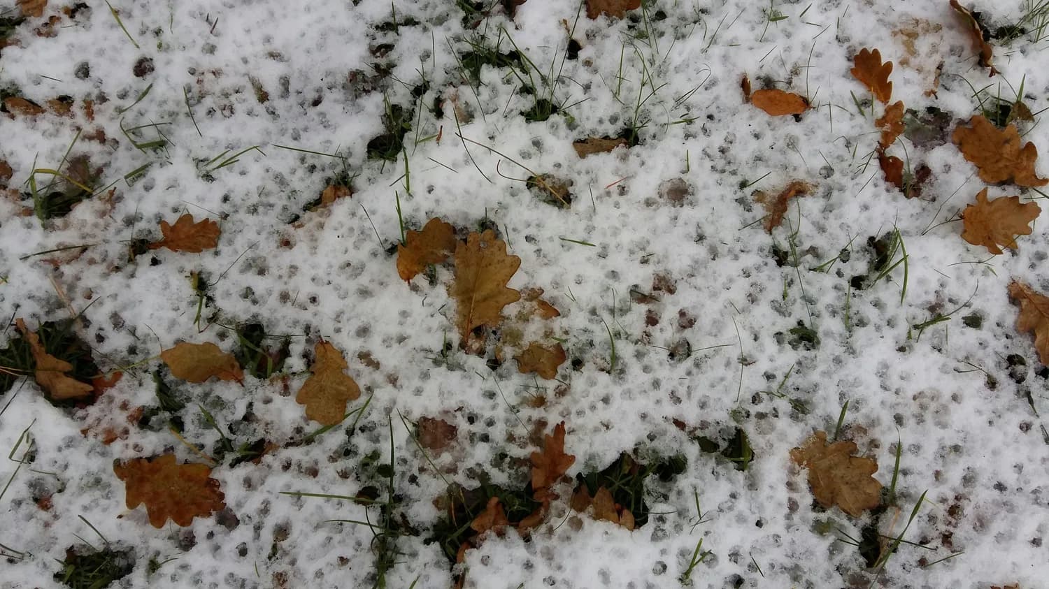 贵阳冬季降雪概率揭秘：2025年首场降雪即将登场
