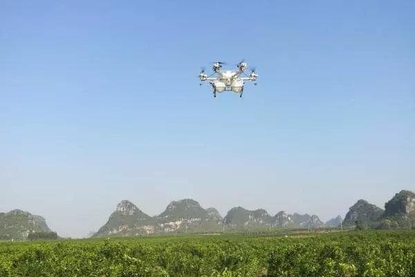 虫螨腈和哒螨灵一起打的药害 虫螨腈不能与什么混用