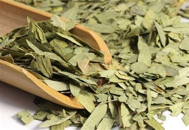 【中药知多少】聊一聊常用中药之番泻叶