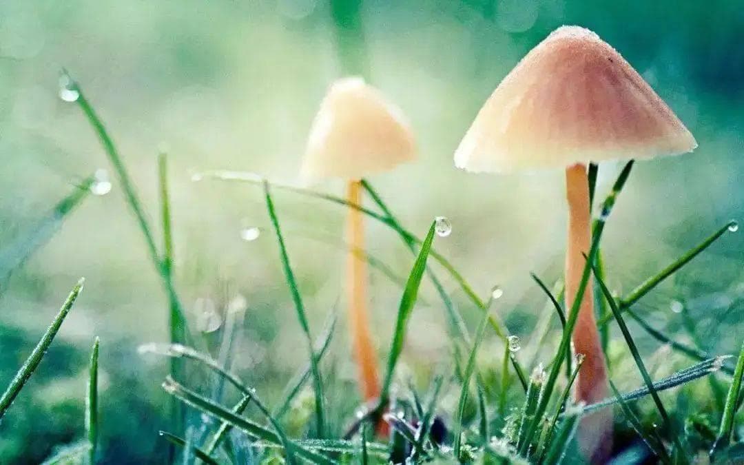 让自己处于“高能量”状态的3个方法