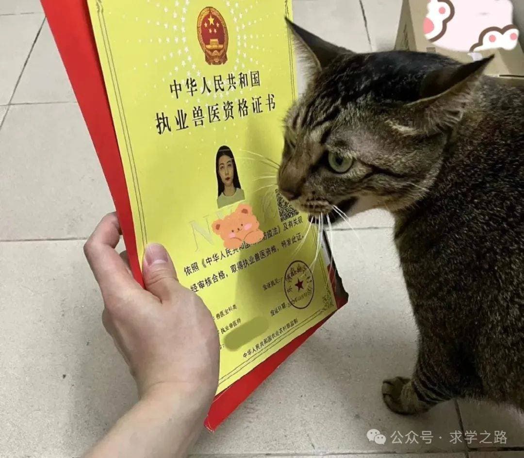 什么专业的学历可以考兽医证