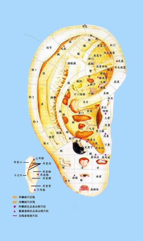 “耳穴疗法”让近视的孩子“看清”世界
