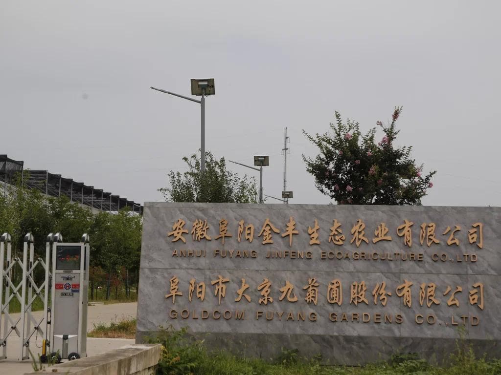 热浪来袭时保护植物的小贴士