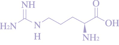 精氨酸：从化学结构到生理功能的全面解析