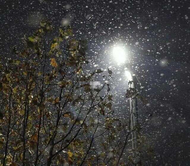 说文解字：雪，其古字形由表示落下的“雨”和羽毛状的雪花组成