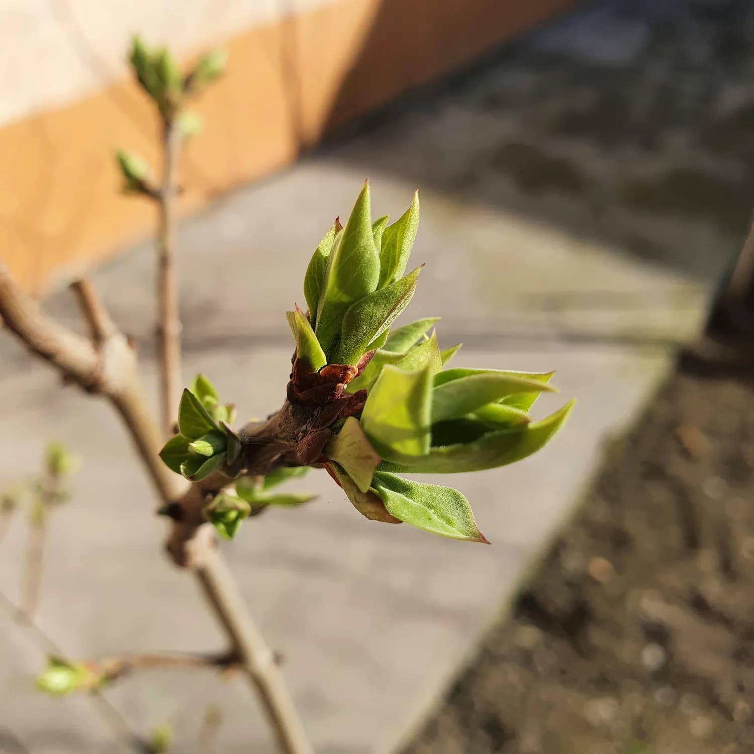 Spring Boot新版本如何解决循环依赖？