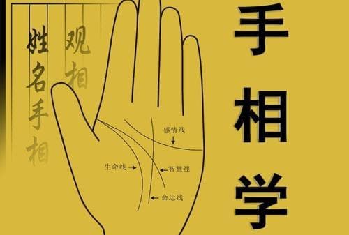 手相真的能看出一个人的命运吗？