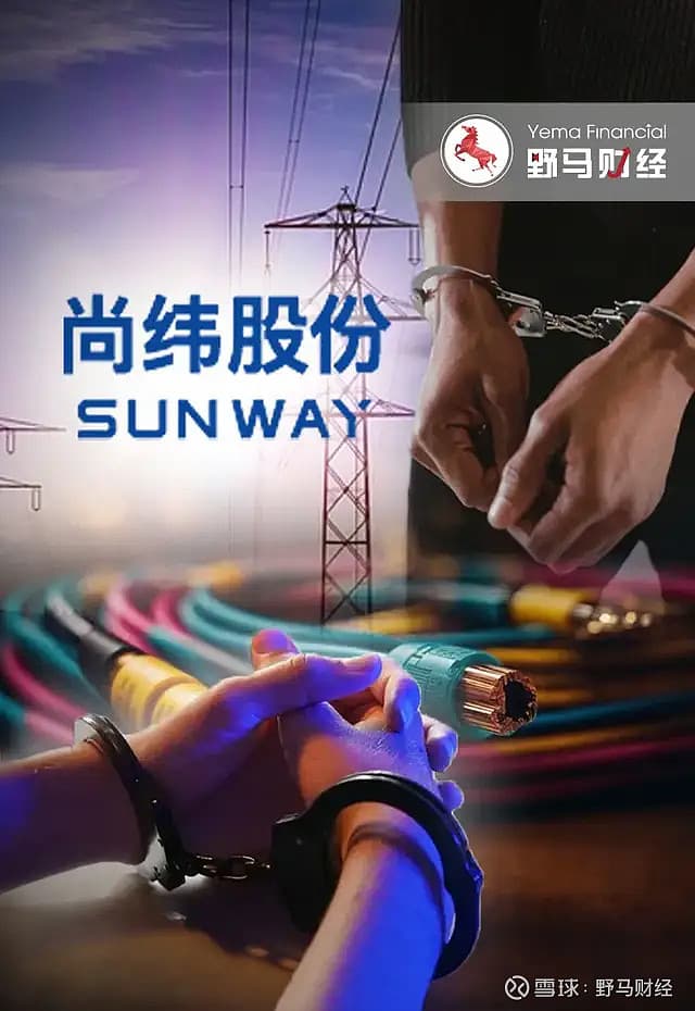 卖电缆年入22亿，尚纬股份“兄弟档”上演A股“监狱风云”