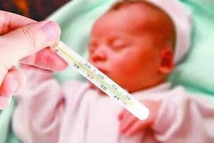 宠物发烧怎么办？退烧药使用指南
