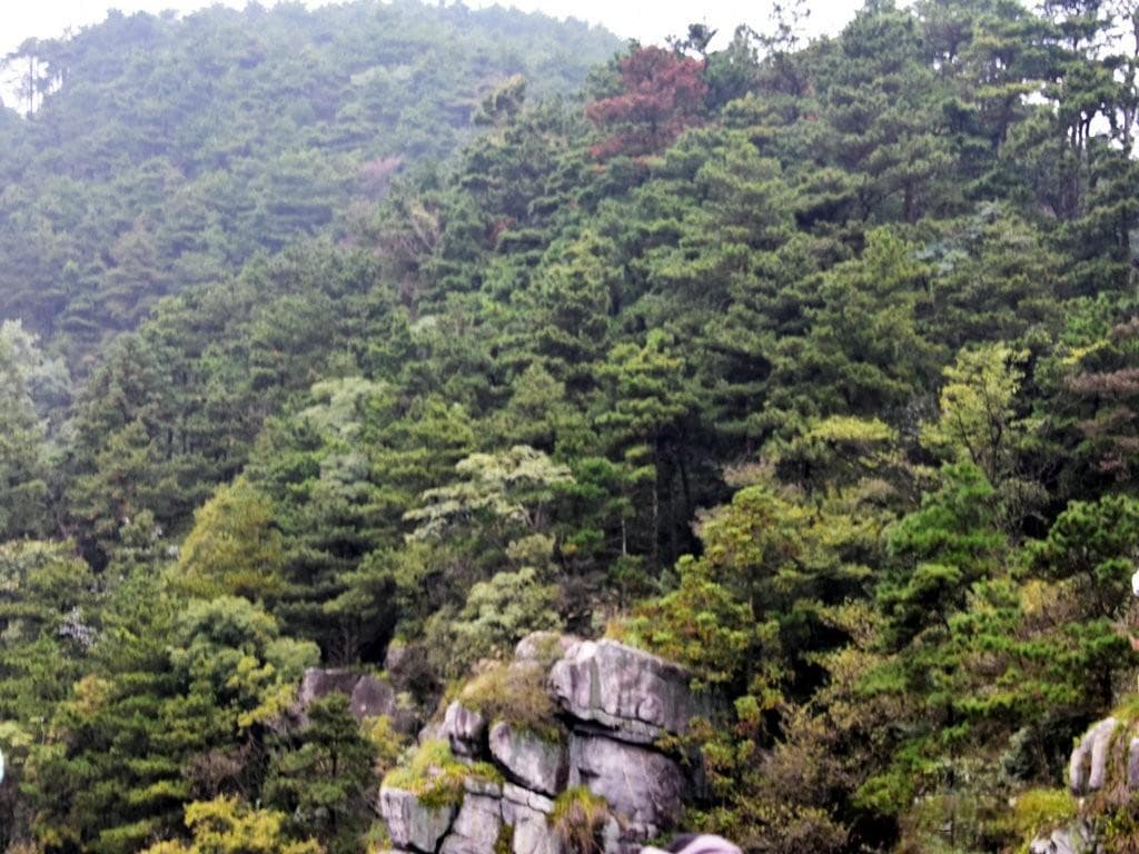 庐山锦绣谷：一步一景的自然画卷