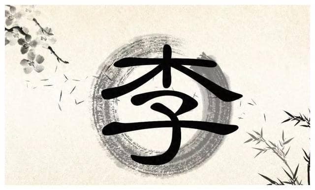 中国四大姓氏之一：李姓的历史与文化